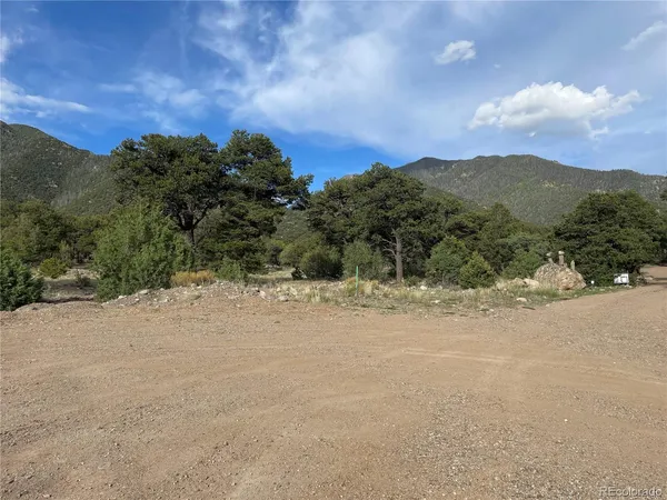 a view of a dry yard