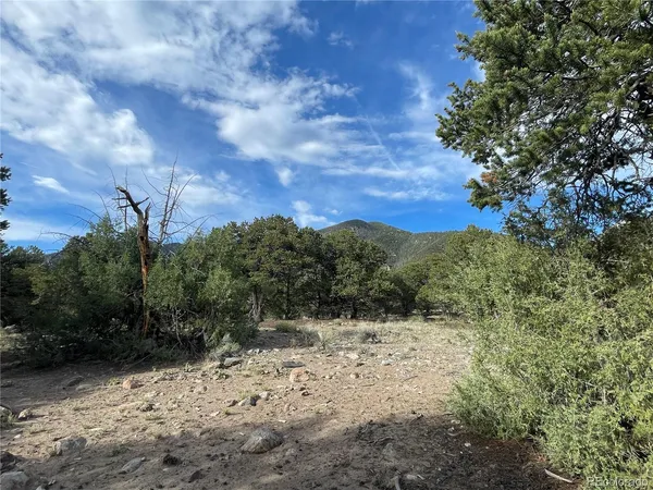 a view of a yard covered in snow