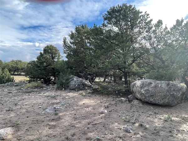 a view of outdoor space and tree