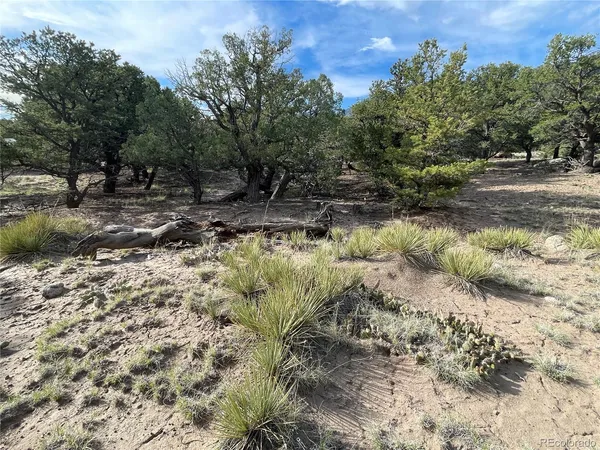 a view of a lake with lots of trees