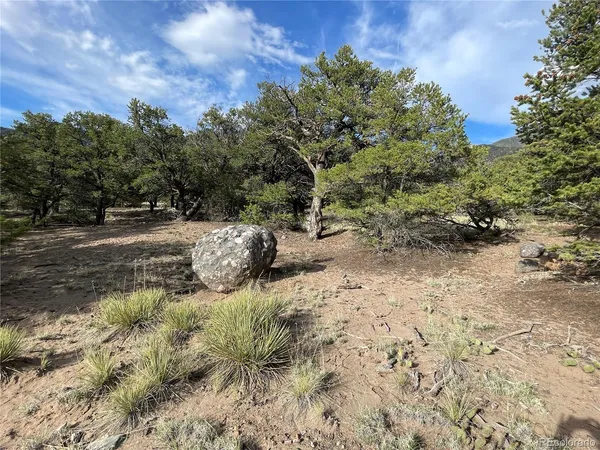 a view of a dirt road with trees