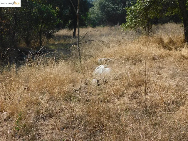 a view of a yard with large trees