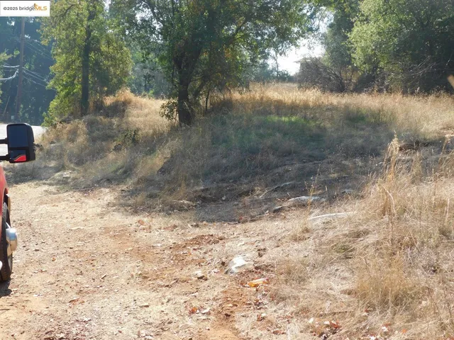 a view of a yard with a tree