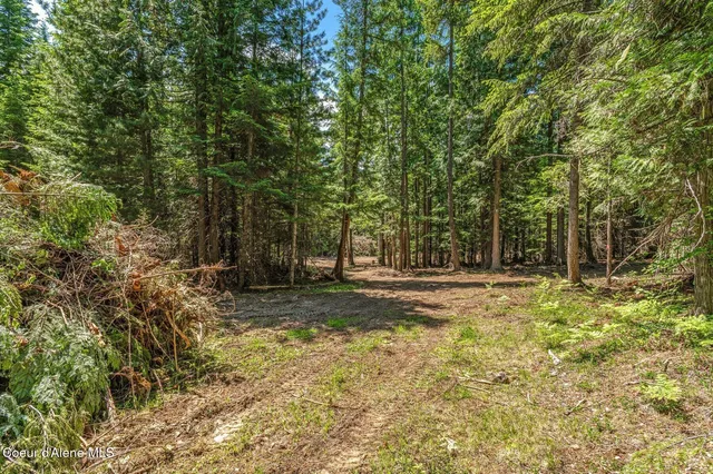 $175,000 | Nka Nka Wandering Wolf Ridge, Clark Fork, ID 83811