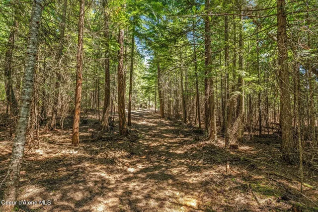 $175,000 | Nka Nka Wandering Wolf Ridge, Clark Fork, ID 83811