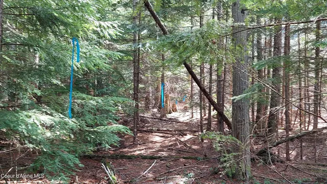 $175,000 | Nka Nka Wandering Wolf Ridge, Clark Fork, ID 83811