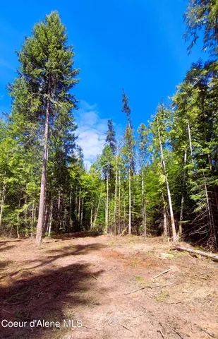 $175,000 | Nka Nka Wandering Wolf Ridge, Clark Fork, ID 83811