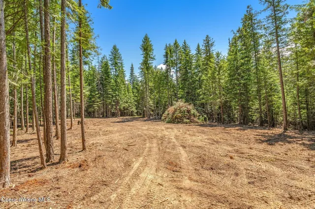 $175,000 | Nka Nka Wandering Wolf Ridge, Clark Fork, ID 83811