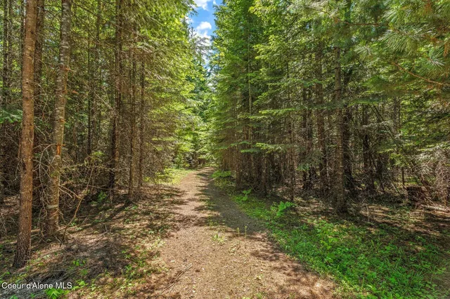 $175,000 | Nka Nka Wandering Wolf Ridge, Clark Fork, ID 83811