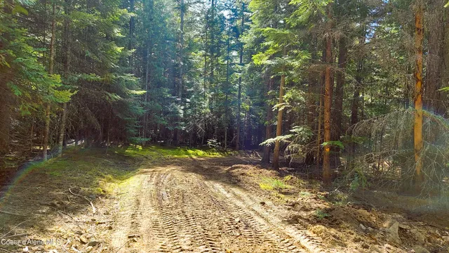 $175,000 | Nka Nka Wandering Wolf Ridge, Clark Fork, ID 83811