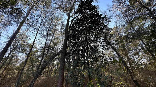 $125,000 | 0 Apalachee Parkway, Tallahassee, FL 32311