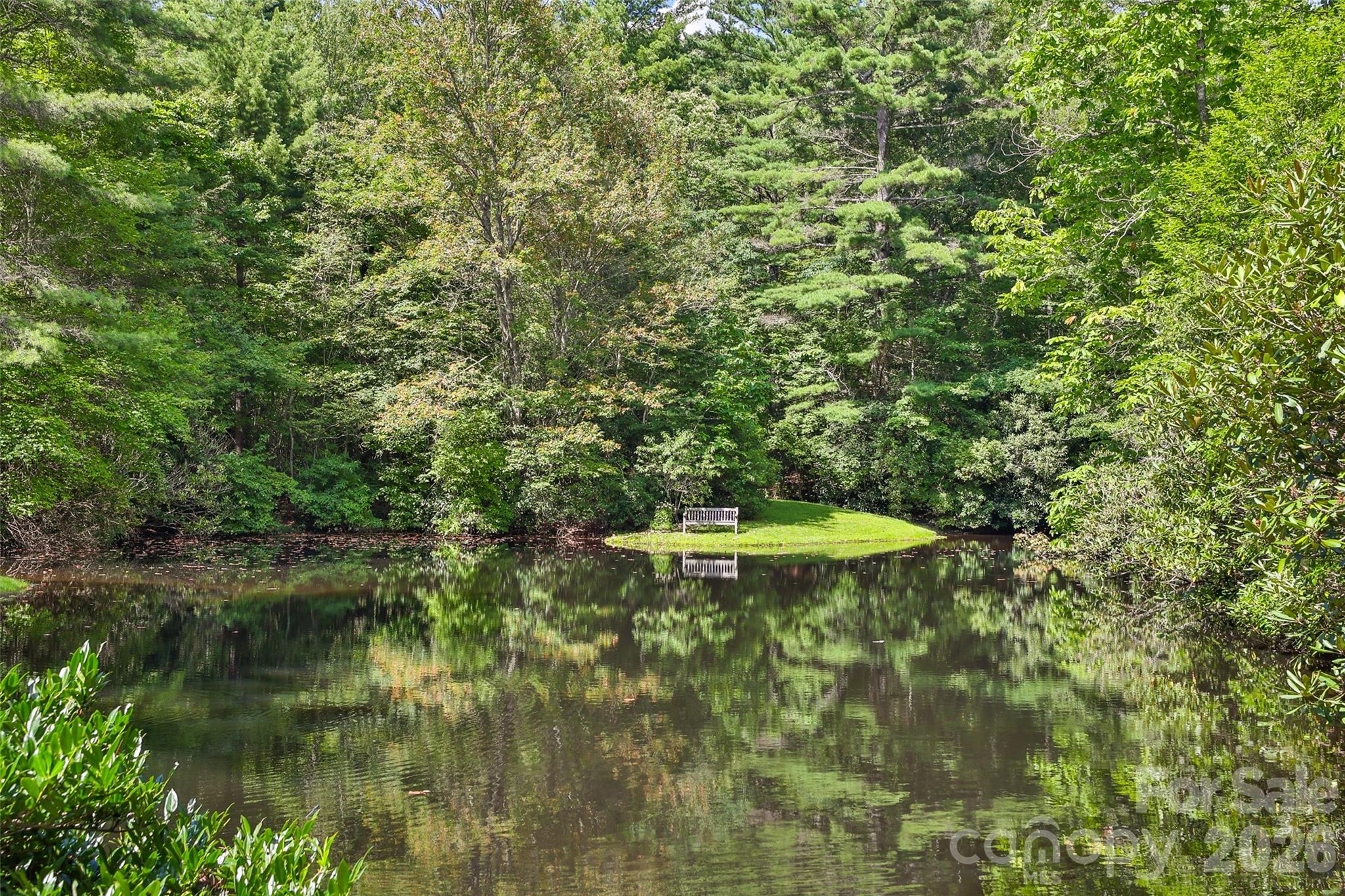 2618 Big Sheepcliff Road Cashiers, NC 28717 - Photo 33 of 35