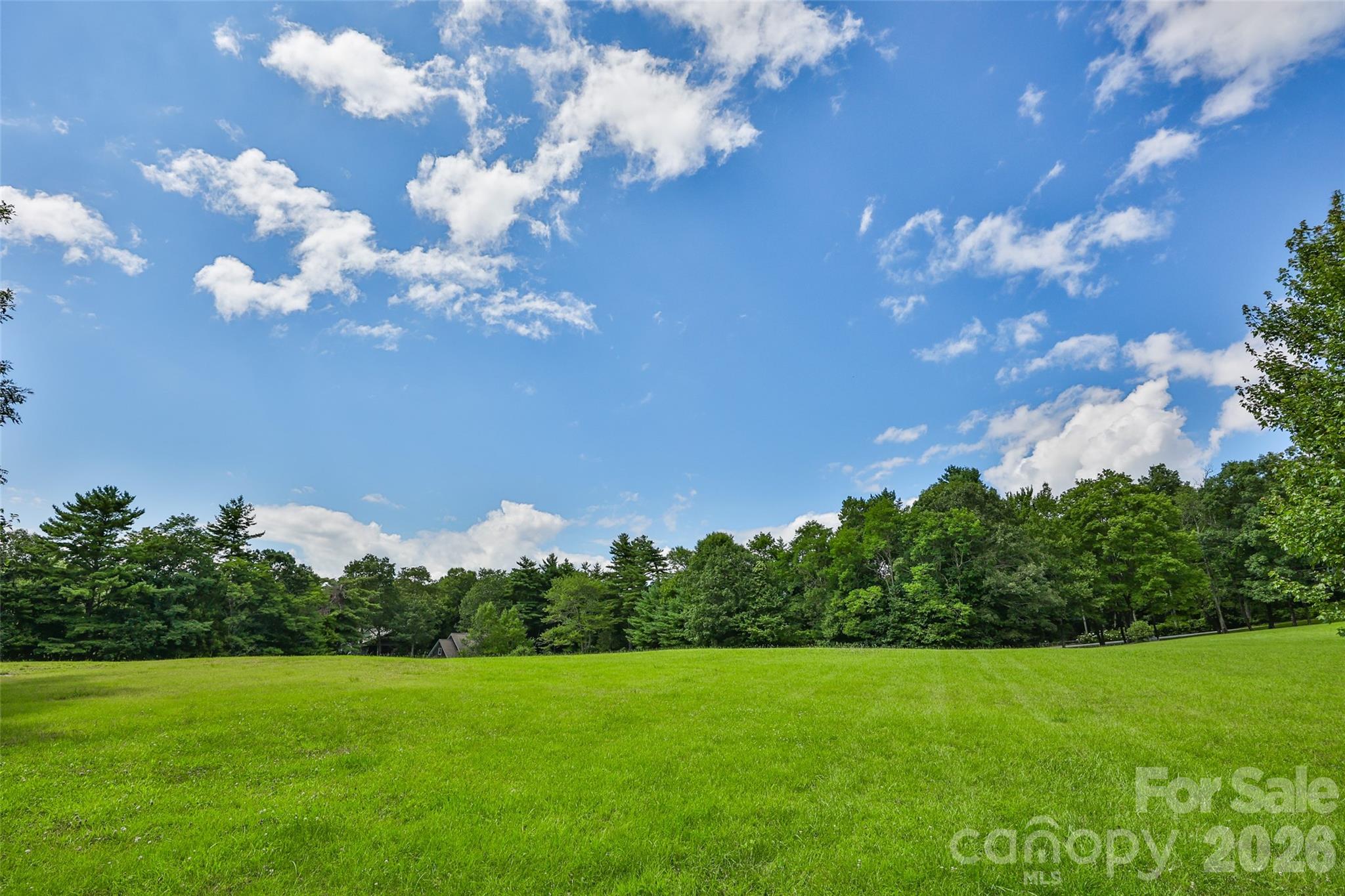 2618 Big Sheepcliff Road Cashiers, NC 28717 - Photo 34 of 35 a view of a big yard with lots of green space
