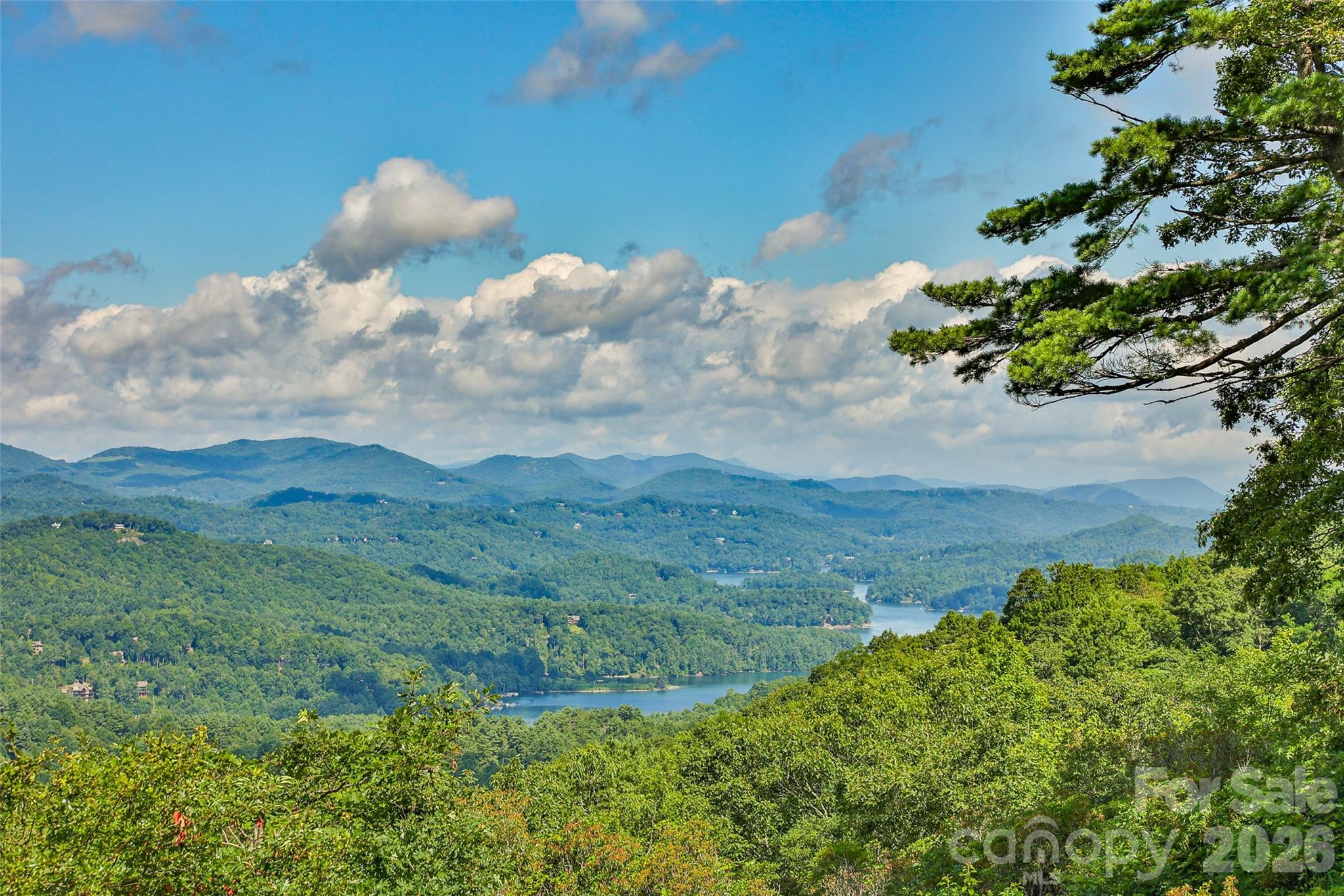 2618 Big Sheepcliff Road Cashiers, NC 28717 - Photo 8 of 35 a view of a lake in middle of forest