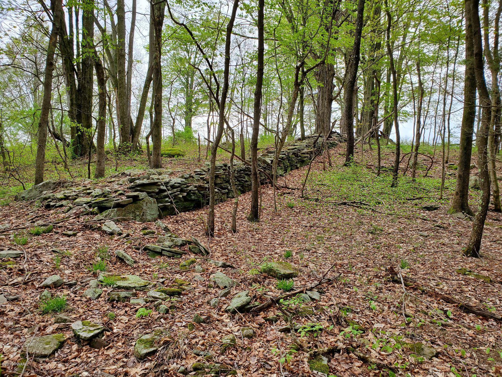 Lot 5 Ledgedale Rd Lake Lake Ariel, PA 18436 - Photo 3 of 9