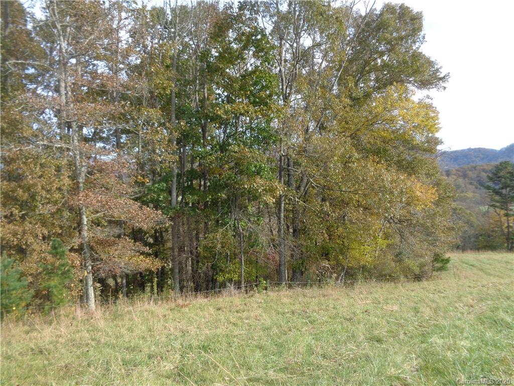 0 Cane Creek Road Fletcher, NC 28732 - Photo 8 of 29 Gallery Image 8