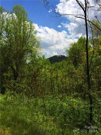 $40,000 | 187 Starling Pass, Unit 102, Asheville, NC 28804