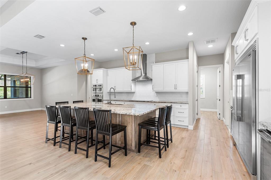 11979 Pasco Trails Boulevard Spring Hill, FL 34610 - Photo 9 of 36