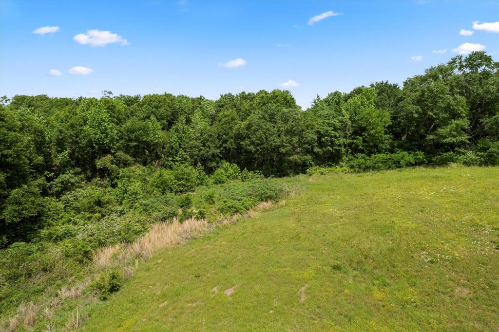 Lot 01 County Rd 1309 Pittsburg, TX 75686 - Photo 6 of 14