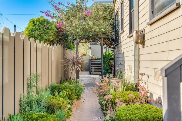 a potted plant sitting in front of a house