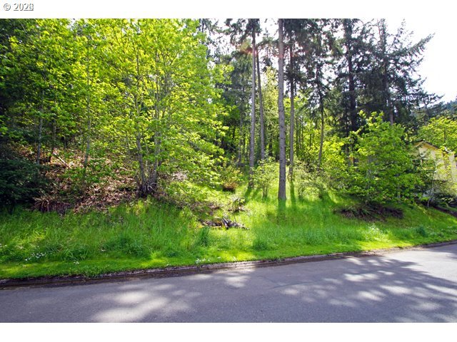 0 Rockridge Loop Eugene, OR 97405 - Photo 1 of 2