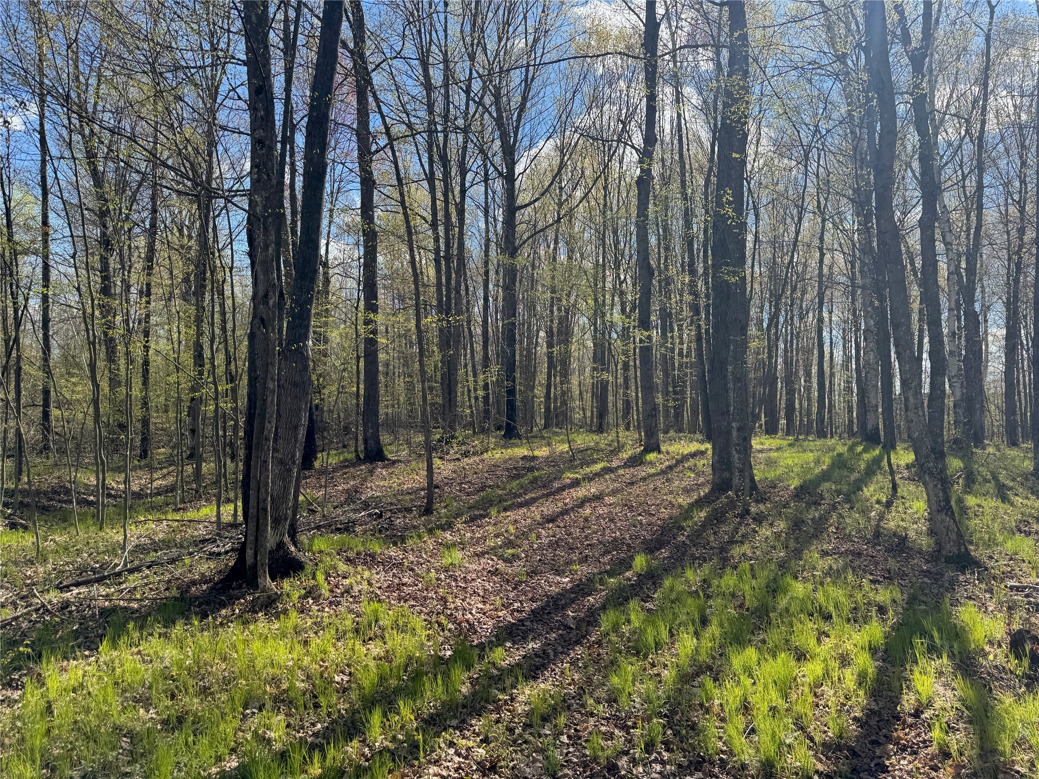 Lot 7 Trapper Trail Hayward, WI 54843 - Photo 22 of 42