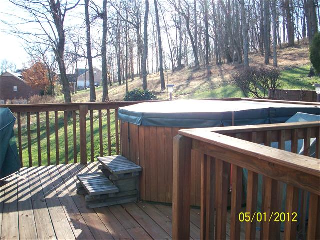 1151 Rip Steele Road Columbia, TN 38401 - Photo 5 of 20 Hot Tub