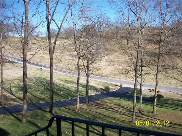 1151 Rip Steele Road Columbia, TN 38401 - Photo 7 of 20 Front View