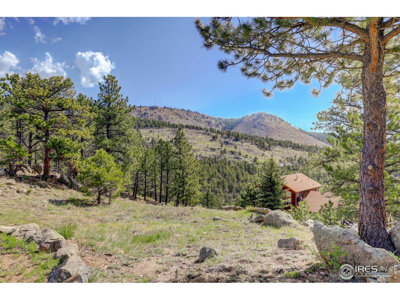 479 County Road 83 Boulder, CO 80302 - Photo 12 of 36 Views with privacy