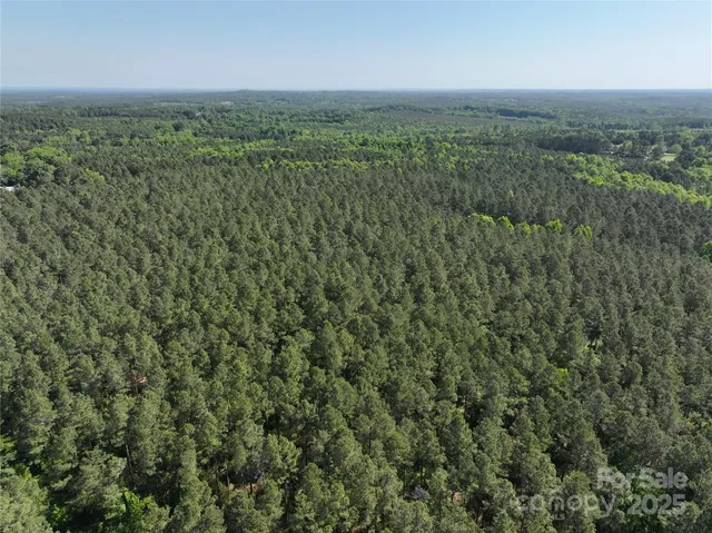 an aerial view of forest