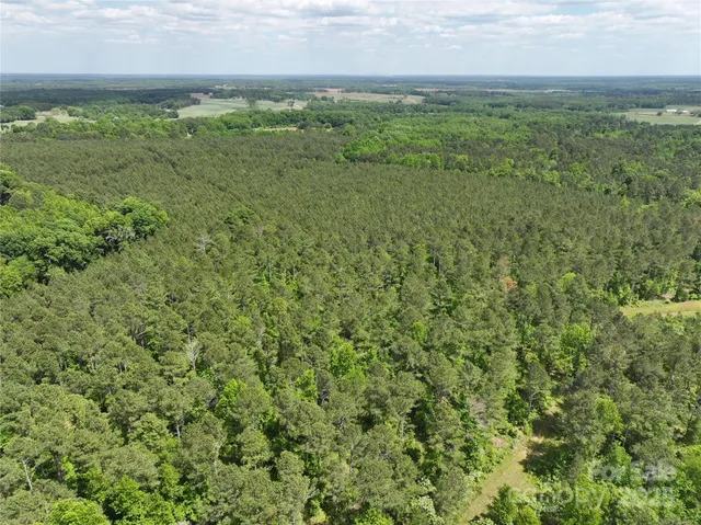 a view of a green field with lots of bushes