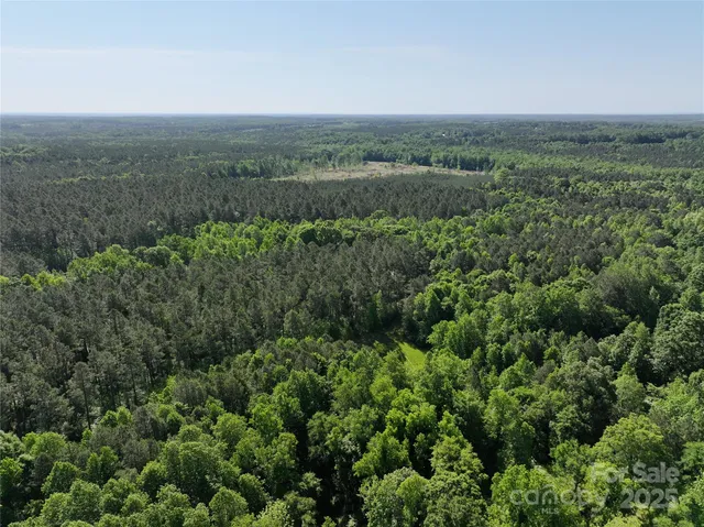 an aerial view of forest