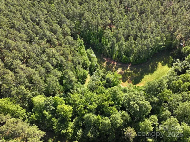 a view of a city with lush green forest