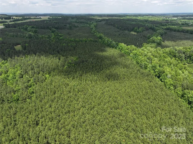 a view of a lush green forest with a lake