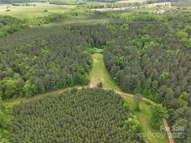 a view of a green field with lots of bushes