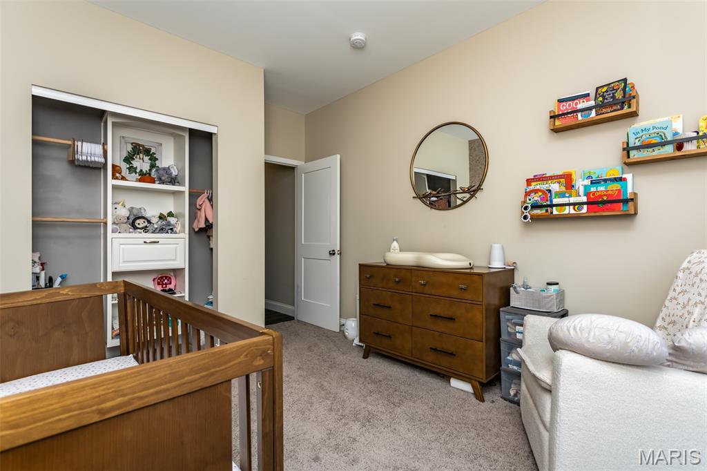 7987 Matterhorn Canyon Road Caseyville, IL 62232 - Photo 29 of 50