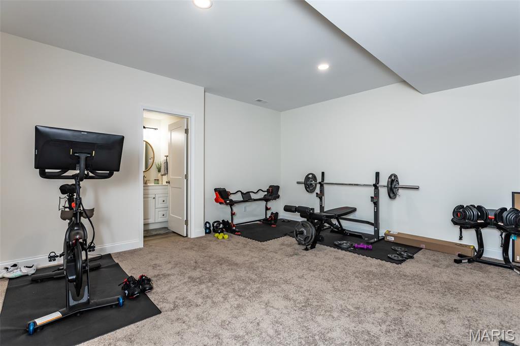 7987 Matterhorn Canyon Road Caseyville, IL 62232 - Photo 32 of 50