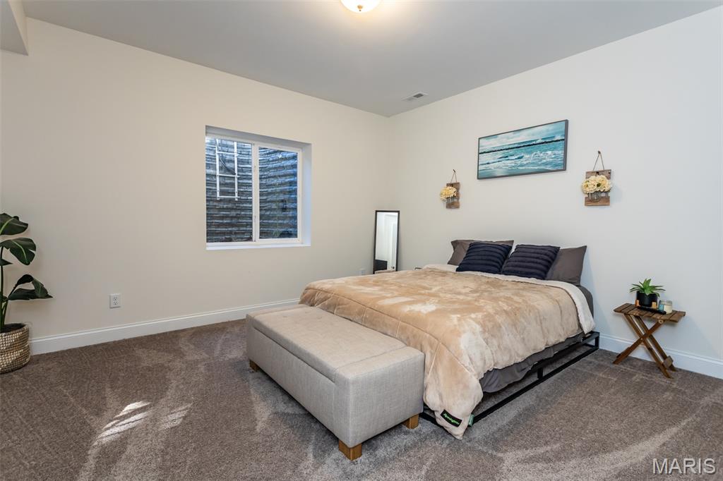 7987 Matterhorn Canyon Road Caseyville, IL 62232 - Photo 35 of 50