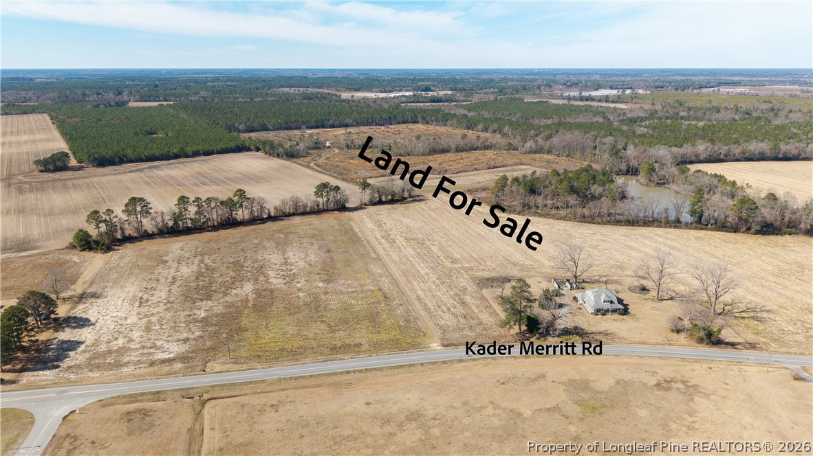990-1100 Kader Merritt Road Rose Hill, NC 28458 - Photo 4 of 9