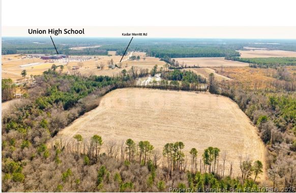 990-1100 Kader Merritt Road Rose Hill, NC 28458 - Photo 6 of 9 a view of a yard