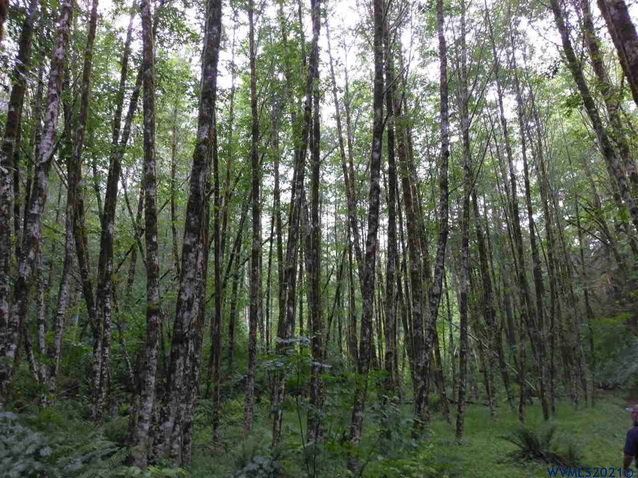 0 Dixie Mountain Road Scappoose, OR 97056 - Photo 2 of 9