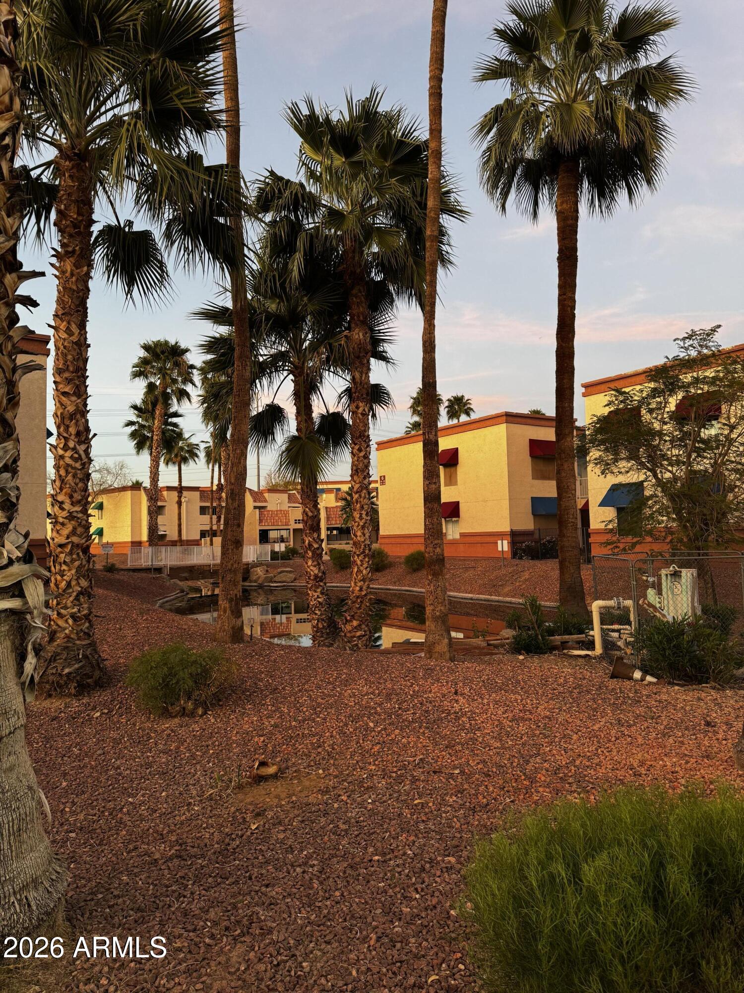 12123 West Bell Road, Unit 258 Surprise, AZ 85378 - Photo 29 of 30 a view of outdoor space with palm trees