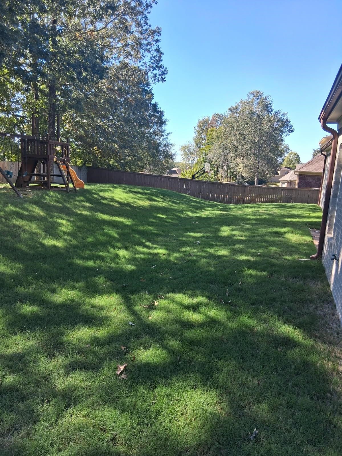 10481 Mabry Mill Road Cordova, TN 38016 - Photo 25 of 32 a view of a park with large trees