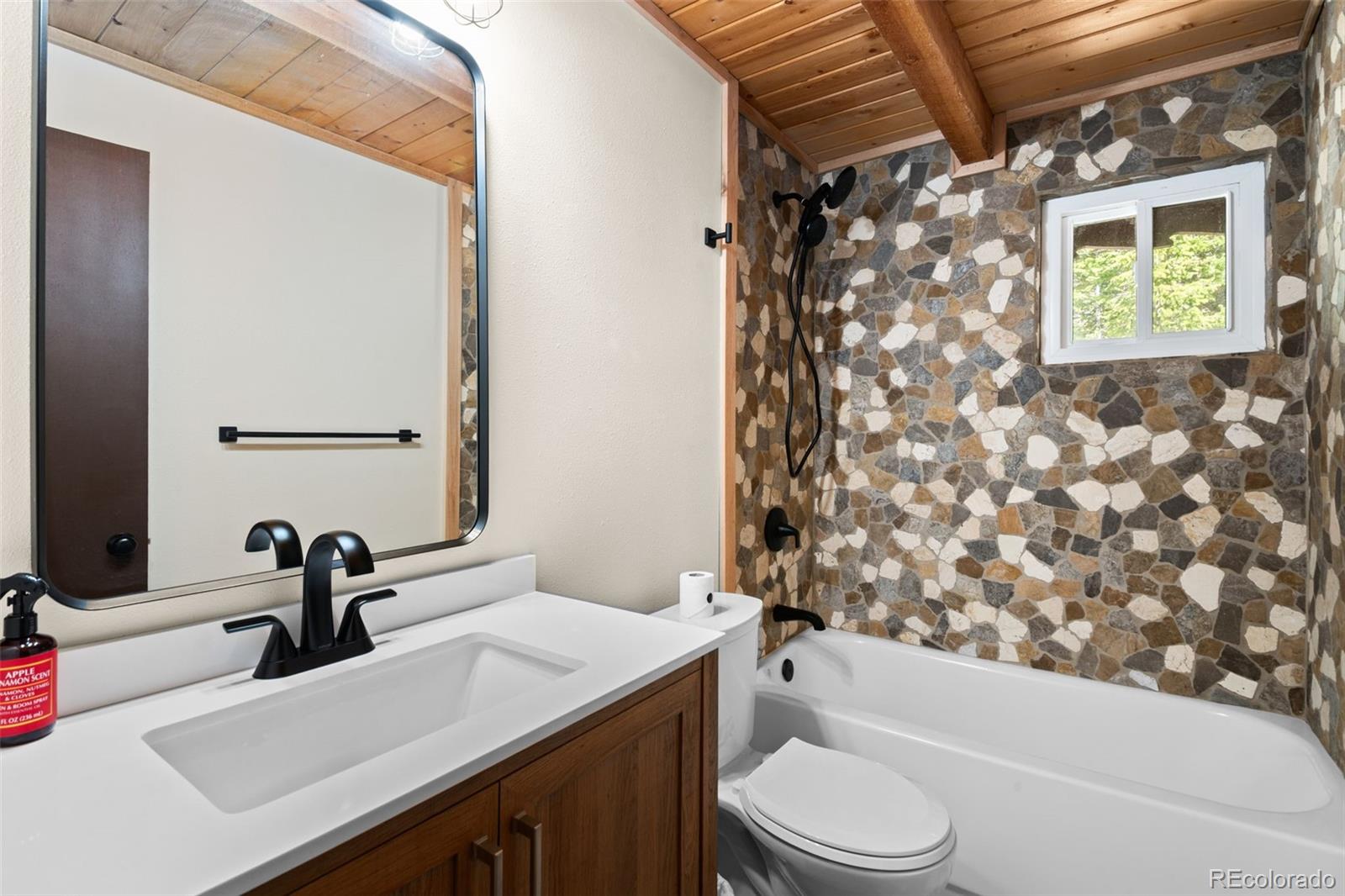 827 Mine Road Idaho Springs, CO 80452 - Photo 17 of 30 a bathroom with a sink toilet and shower