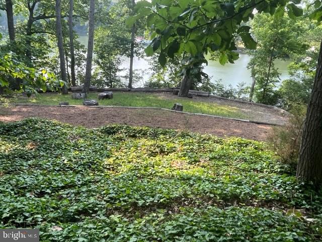 545 Swaggers Point Road Solomons, MD 20688 - Photo 11 of 18