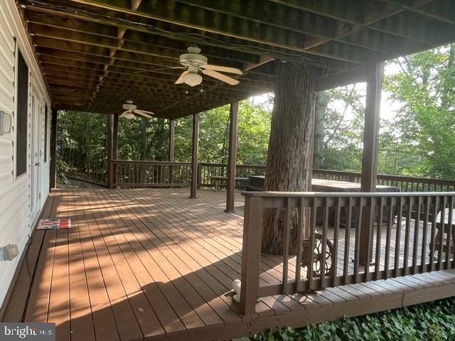 545 Swaggers Point Road Solomons, MD 20688 - Photo 6 of 18