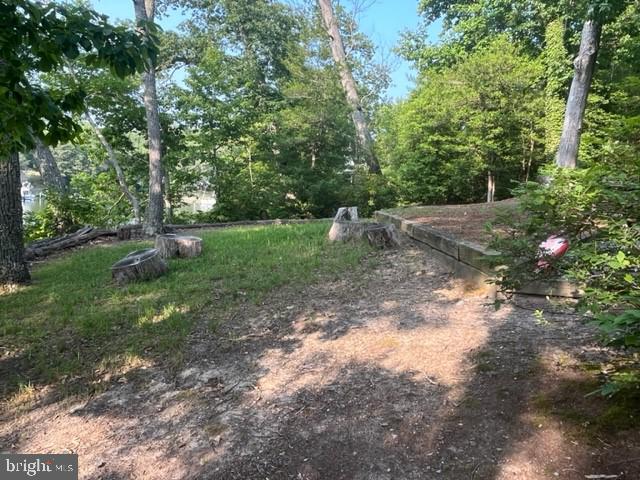 545 Swaggers Point Road Solomons, MD 20688 - Photo 10 of 18