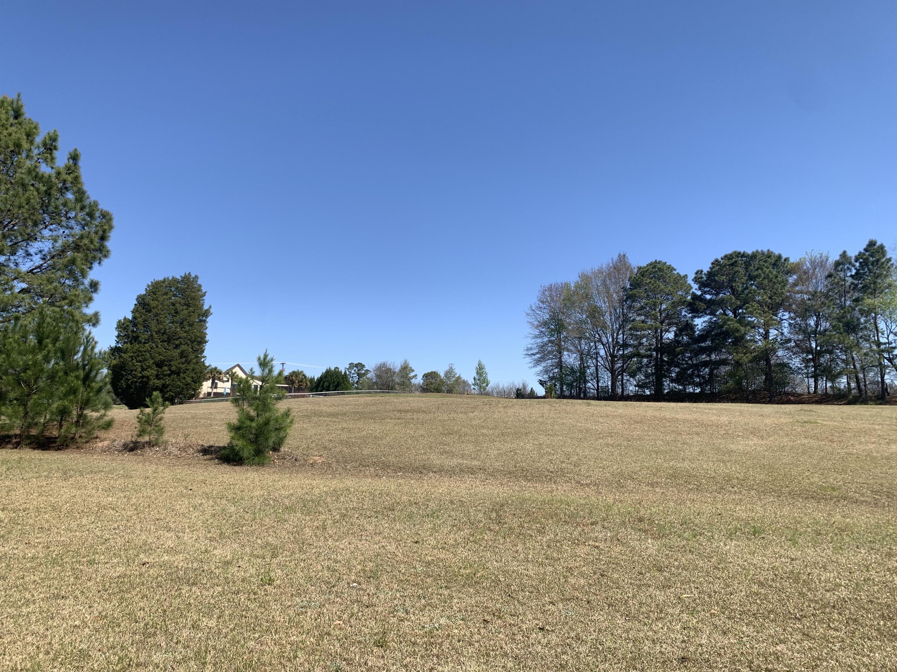 131 Chime Bell Church Road Aiken, SC 29803 - Photo 28 of 85