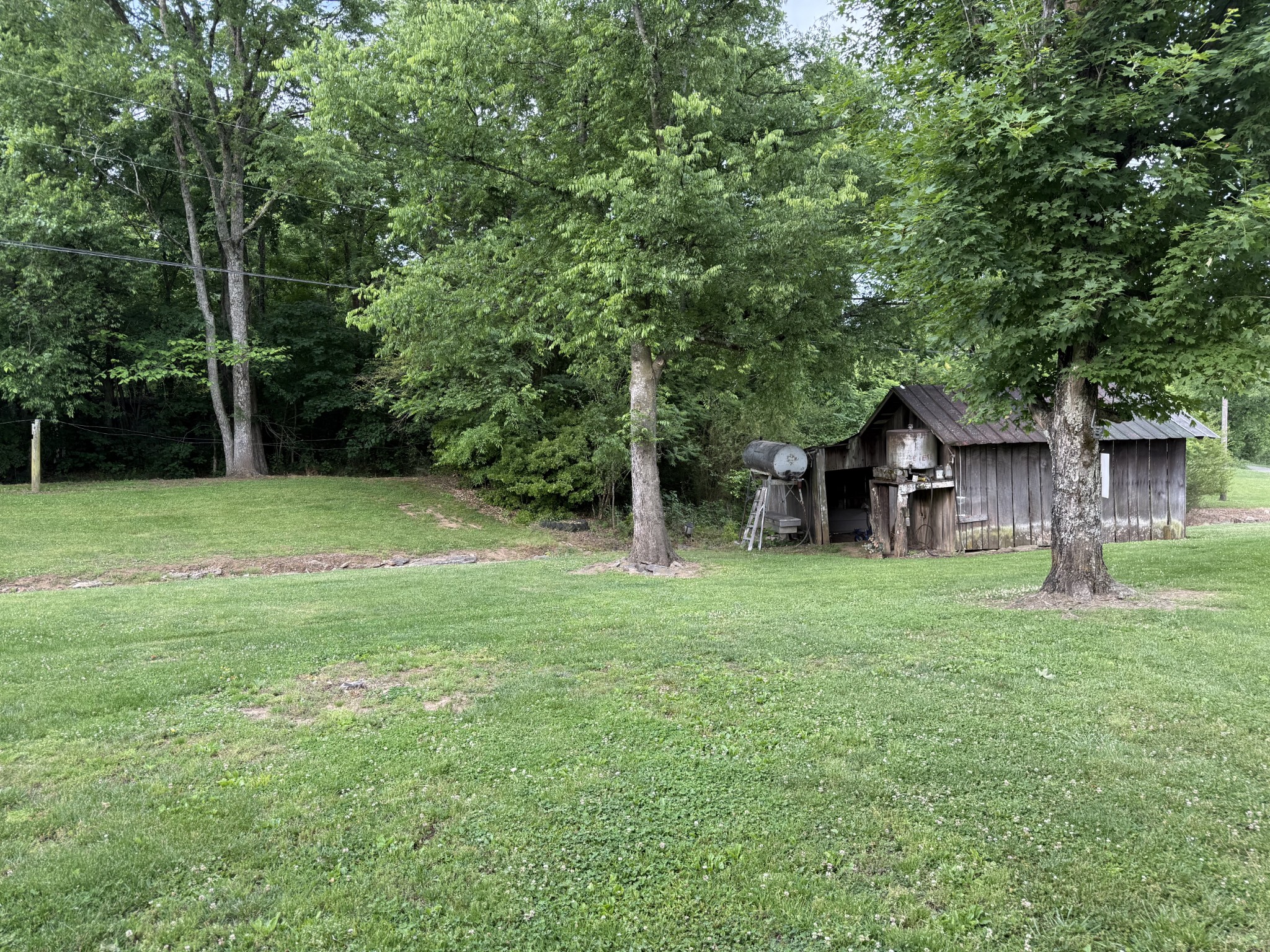 328 Young Branch Road Dixon Springs, TN 37057 - Photo 26 of 30