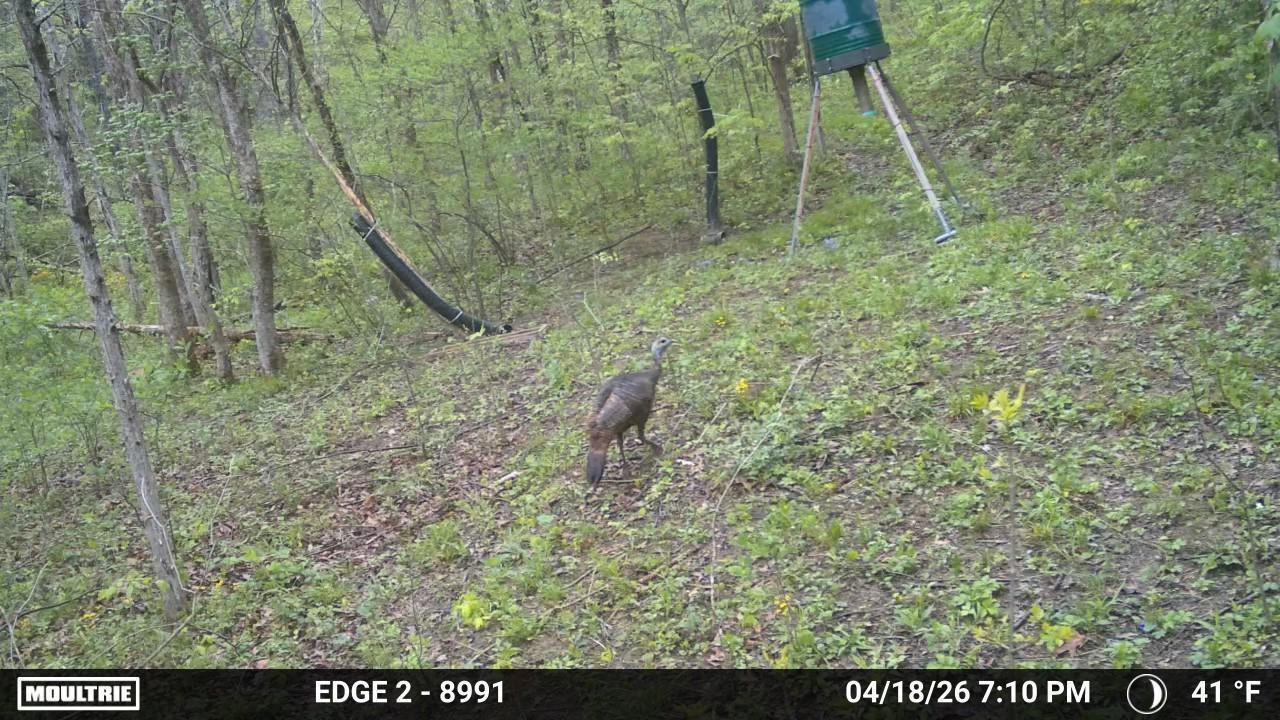 10792 New Columbus Road Owenton, KY 40359 - Photo 11 of 22 WL5